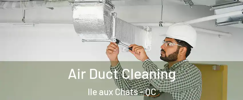  Air Duct Cleaning lle aux Chats - QC