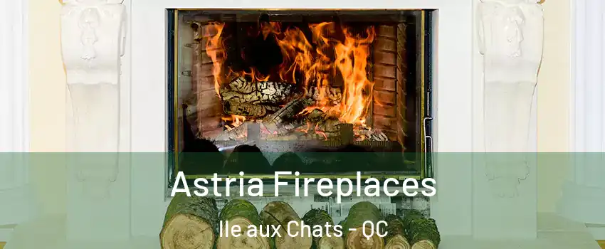  Astria Fireplaces lle aux Chats - QC