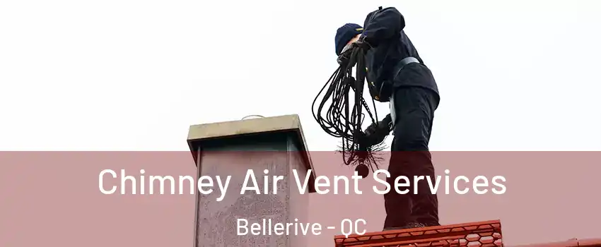  Chimney Air Vent Services Bellerive - QC