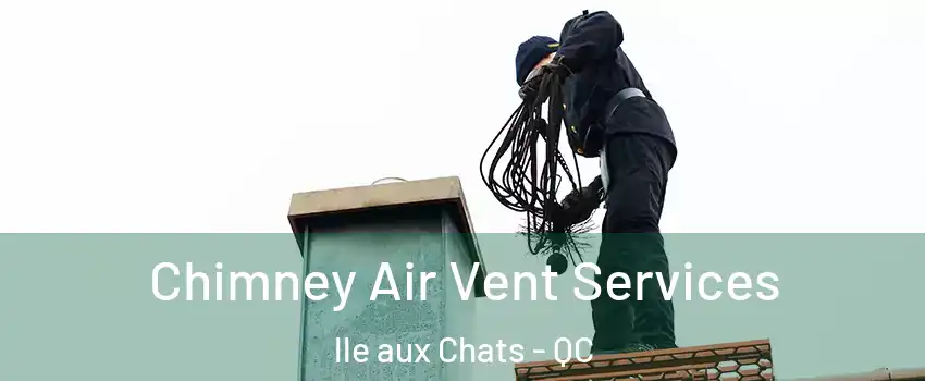  Chimney Air Vent Services lle aux Chats - QC