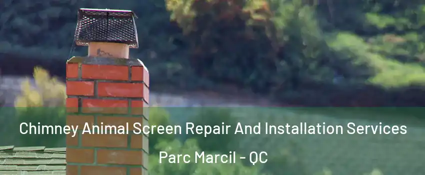  Chimney Animal Screen Repair And Installation Services Parc Marcil - QC
