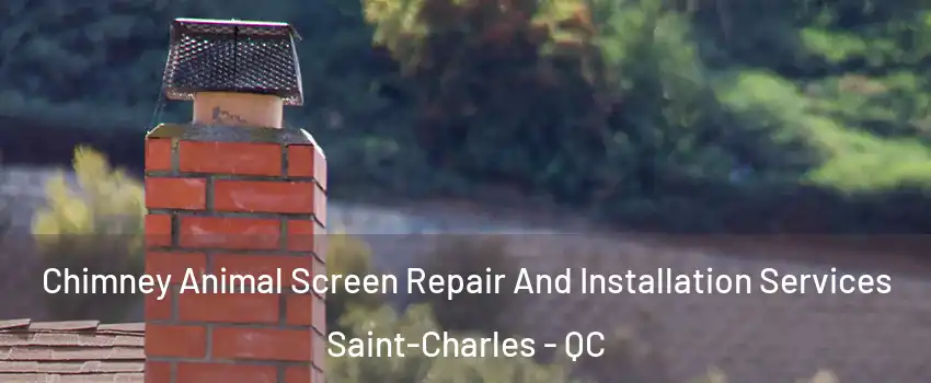 Chimney Animal Screen Repair And Installation Services Saint-Charles - QC
