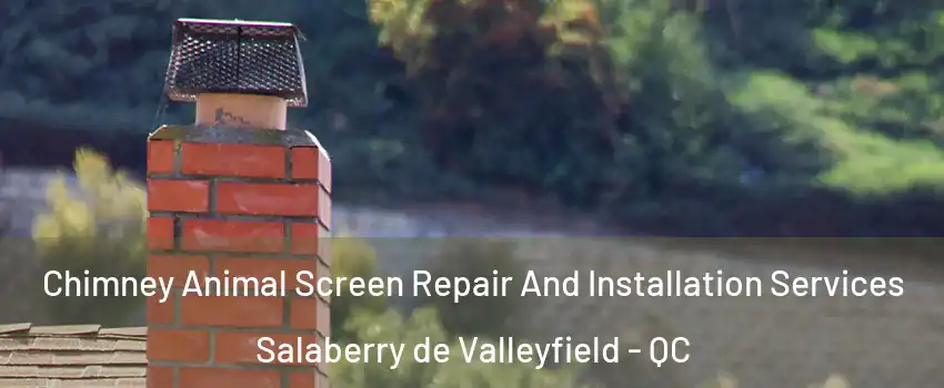  Chimney Animal Screen Repair And Installation Services Salaberry de Valleyfield - QC