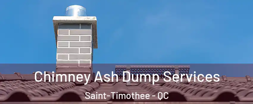 Chimney Ash Dump Services Saint-Timothee - QC