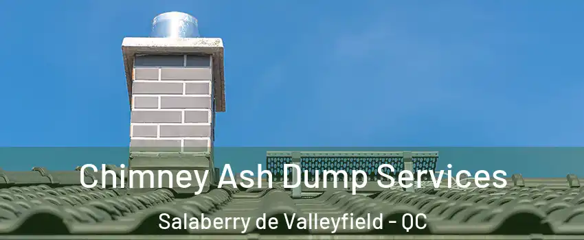  Chimney Ash Dump Services Salaberry de Valleyfield - QC