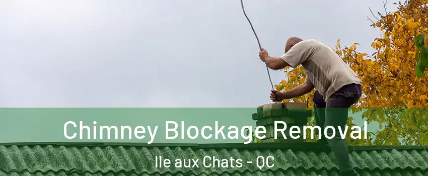  Chimney Blockage Removal lle aux Chats - QC