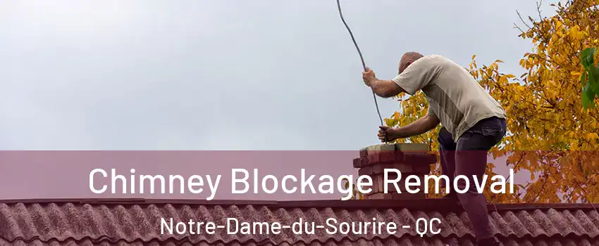  Chimney Blockage Removal Notre-Dame-du-Sourire - QC