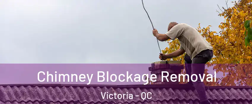  Chimney Blockage Removal Victoria - QC