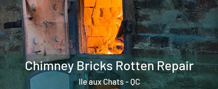  Chimney Bricks Rotten Repair lle aux Chats - QC