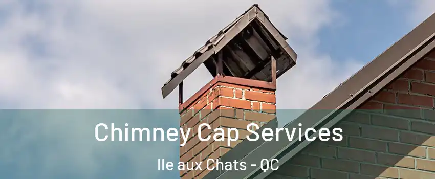  Chimney Cap Services lle aux Chats - QC