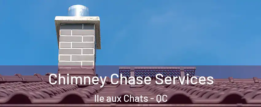  Chimney Chase Services lle aux Chats - QC