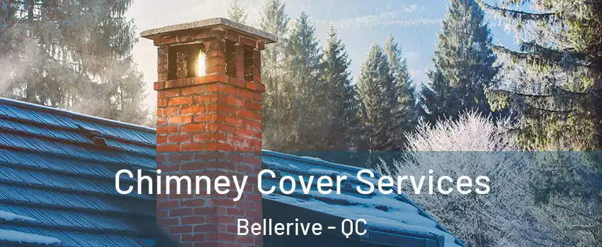  Chimney Cover Services Bellerive - QC