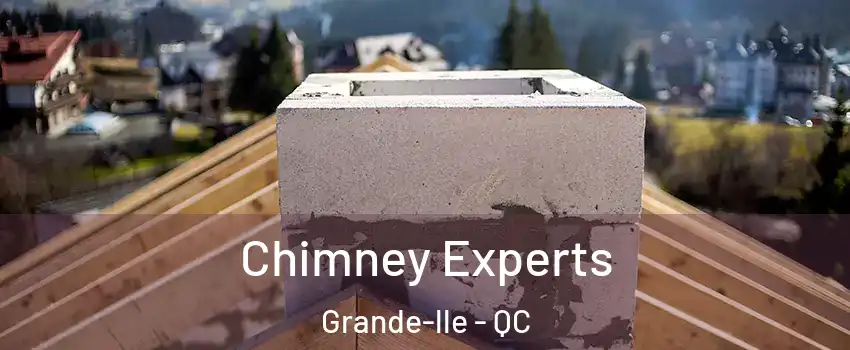  Chimney Experts Grande-lle - QC