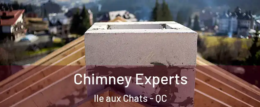  Chimney Experts lle aux Chats - QC