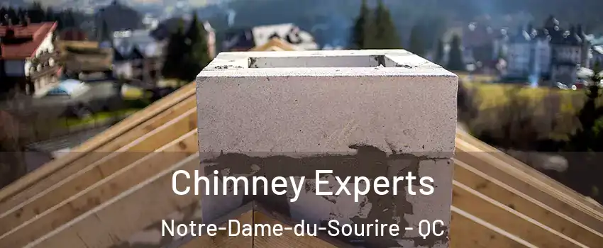  Chimney Experts Notre-Dame-du-Sourire - QC