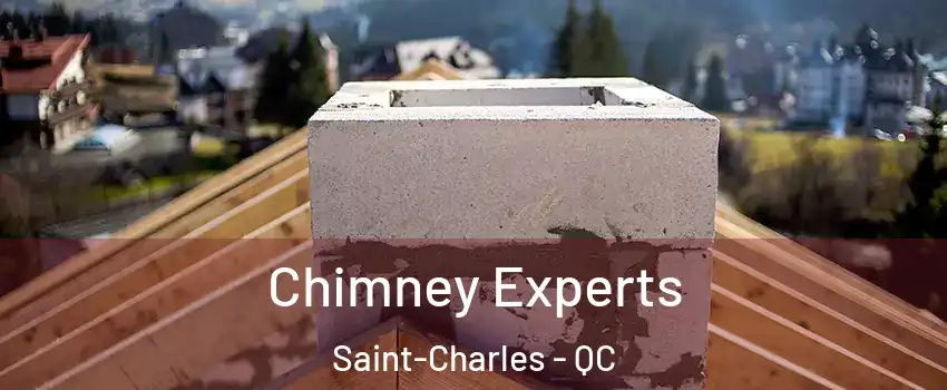  Chimney Experts Saint-Charles - QC
