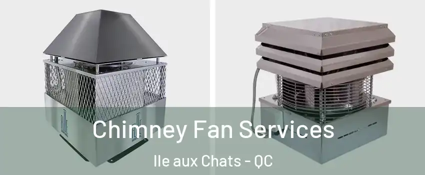  Chimney Fan Services lle aux Chats - QC