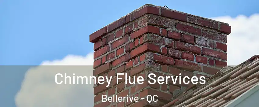  Chimney Flue Services Bellerive - QC