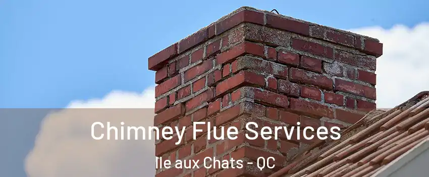  Chimney Flue Services lle aux Chats - QC