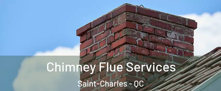  Chimney Flue Services Saint-Charles - QC