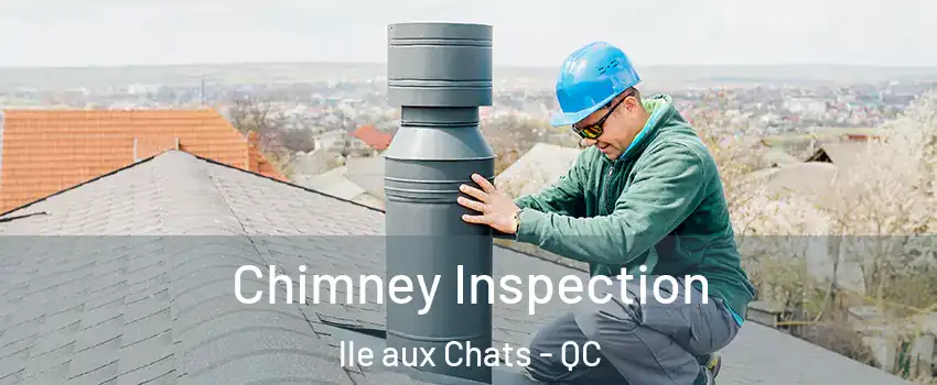  Chimney Inspection lle aux Chats - QC