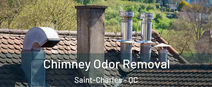  Chimney Odor Removal Saint-Charles - QC