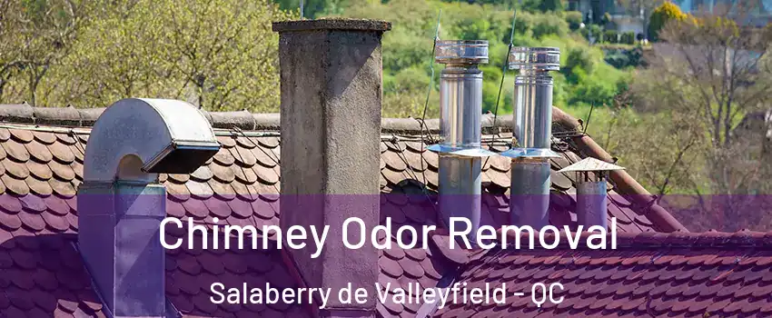  Chimney Odor Removal Salaberry de Valleyfield - QC