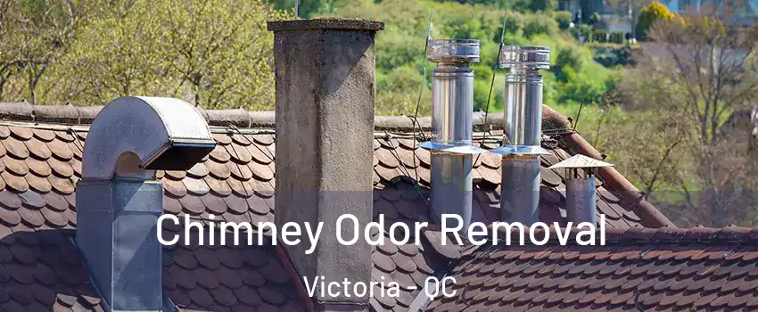  Chimney Odor Removal Victoria - QC