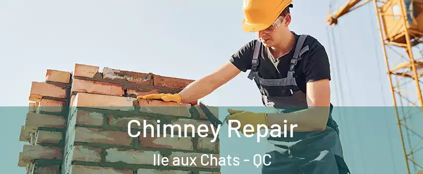  Chimney Repair lle aux Chats - QC