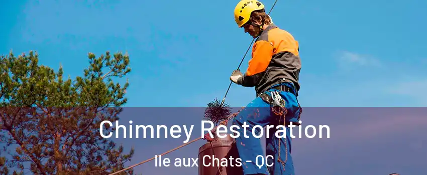  Chimney Restoration lle aux Chats - QC