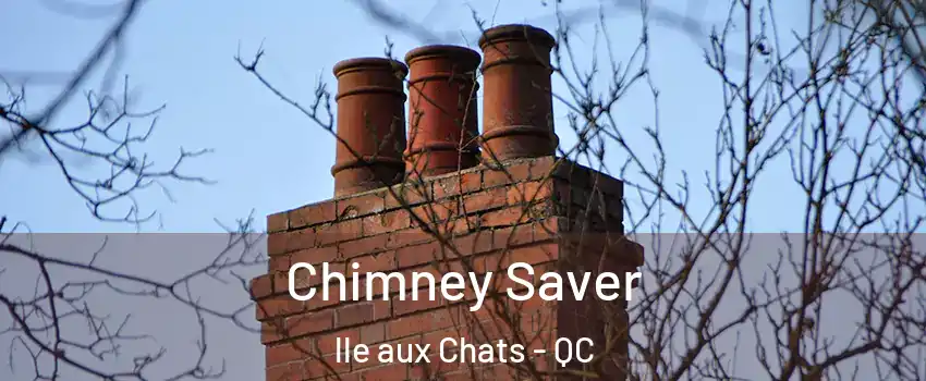  Chimney Saver lle aux Chats - QC