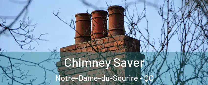  Chimney Saver Notre-Dame-du-Sourire - QC