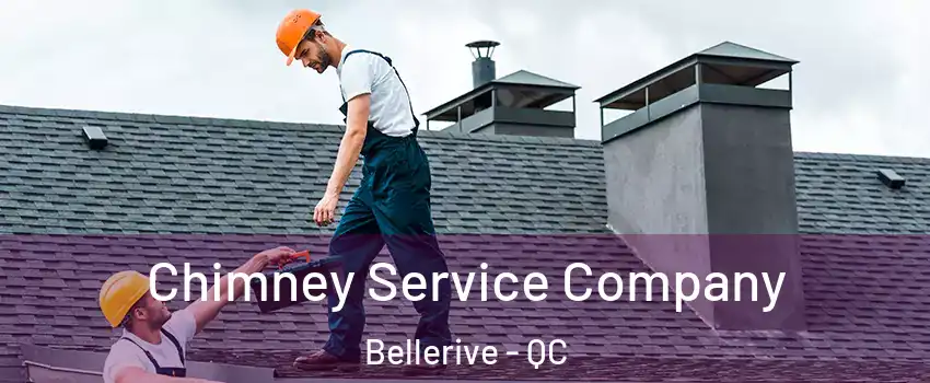  Chimney Service Company Bellerive - QC