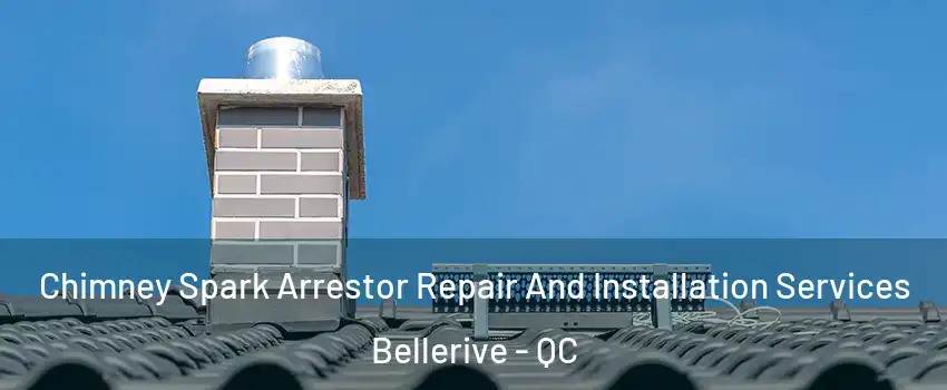  Chimney Spark Arrestor Repair And Installation Services Bellerive - QC
