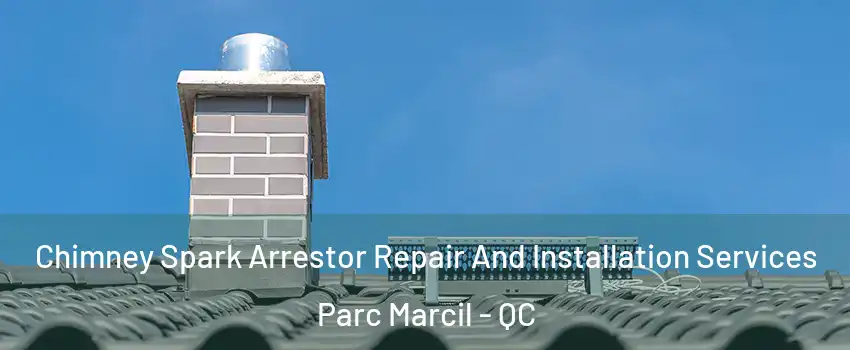  Chimney Spark Arrestor Repair And Installation Services Parc Marcil - QC