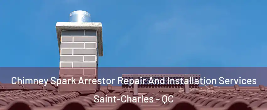  Chimney Spark Arrestor Repair And Installation Services Saint-Charles - QC