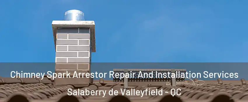  Chimney Spark Arrestor Repair And Installation Services Salaberry de Valleyfield - QC