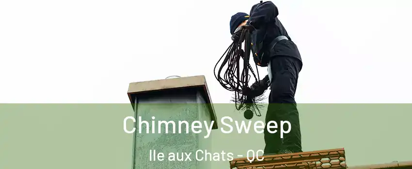  Chimney Sweep lle aux Chats - QC