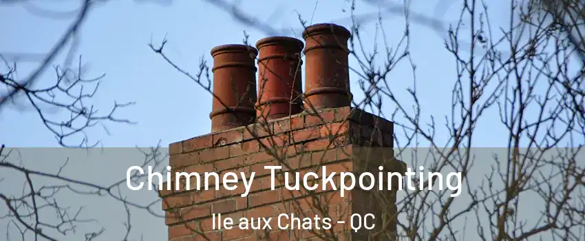  Chimney Tuckpointing lle aux Chats - QC