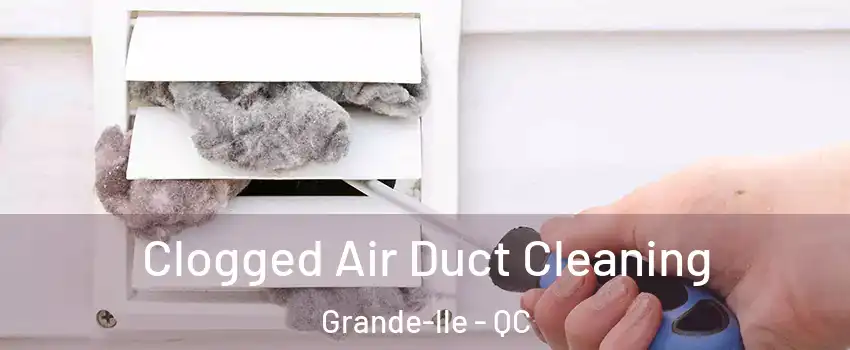  Clogged Air Duct Cleaning Grande-lle - QC