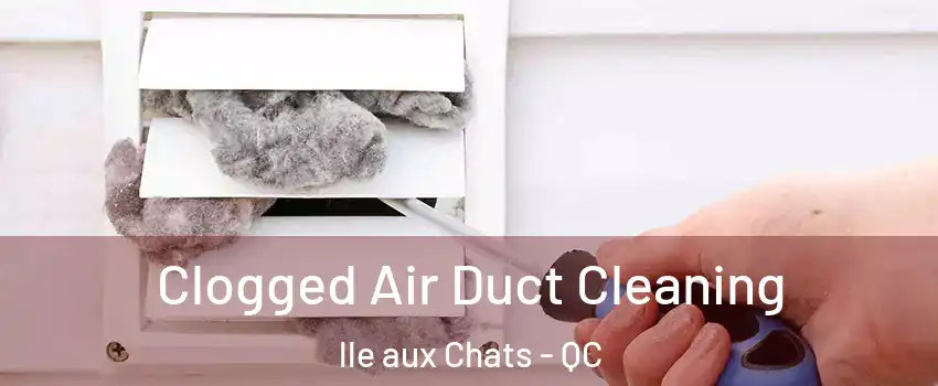  Clogged Air Duct Cleaning lle aux Chats - QC
