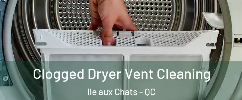  Clogged Dryer Vent Cleaning lle aux Chats - QC