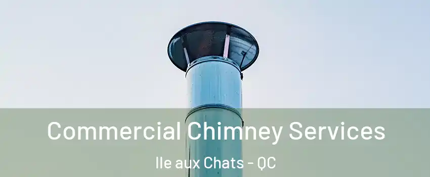  Commercial Chimney Services lle aux Chats - QC