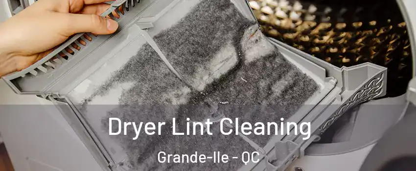  Dryer Lint Cleaning Grande-lle - QC