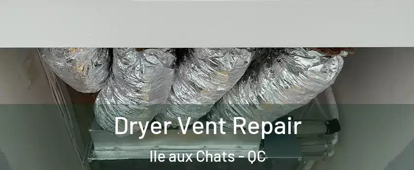  Dryer Vent Repair lle aux Chats - QC