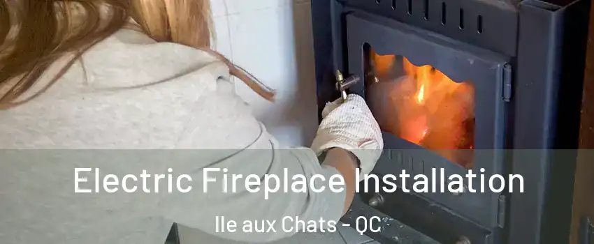  Electric Fireplace Installation lle aux Chats - QC