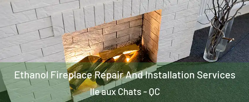  Ethanol Fireplace Repair And Installation Services lle aux Chats - QC