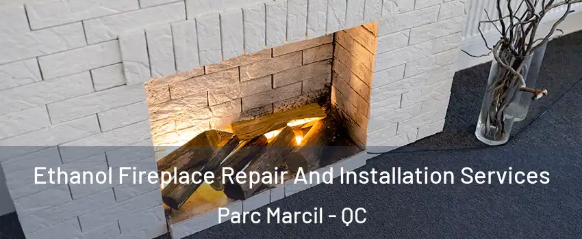  Ethanol Fireplace Repair And Installation Services Parc Marcil - QC
