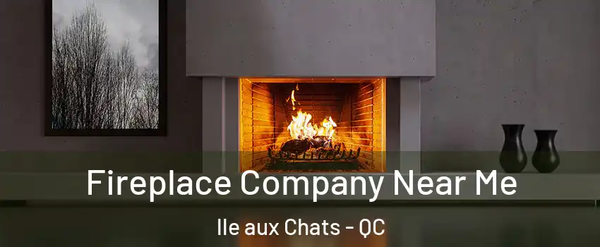  Fireplace Company Near Me lle aux Chats - QC
