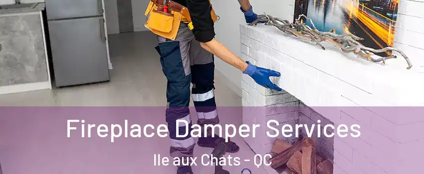  Fireplace Damper Services lle aux Chats - QC